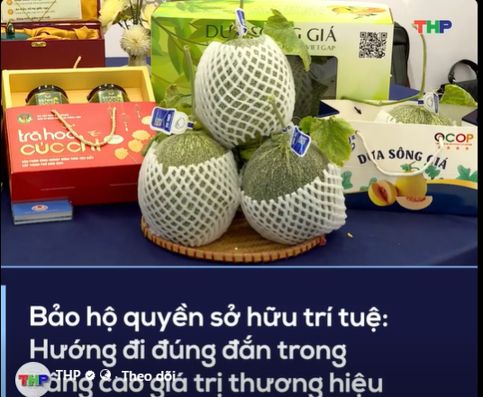Bảo hộ quyền sở hữu trí tuệ- Hướng đi đúng đắn trong nâng cao giá trị thương hiệu
