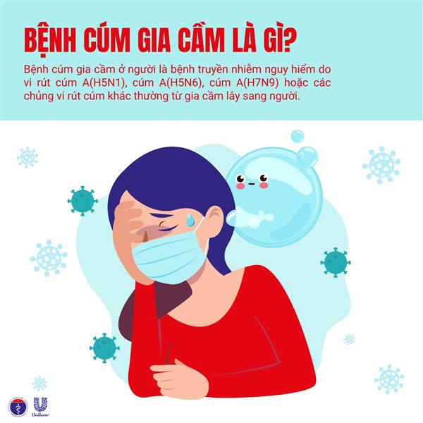 Những điều cần biết về bệnh cúm gia cầm lây sang người 