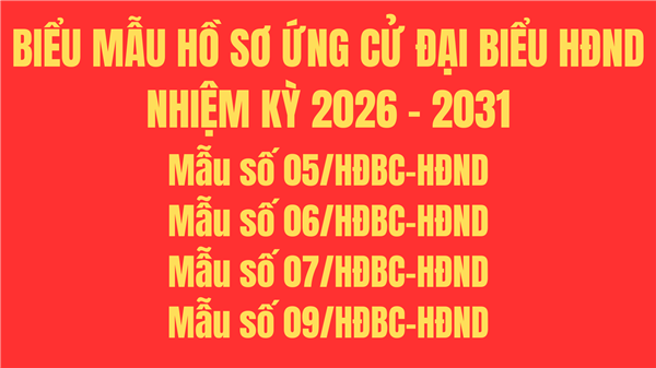 Biểu mẫu hồ sơ ứng cử Đại biểu Hội đồng nhân dân nhiệm kỳ 2026-2031