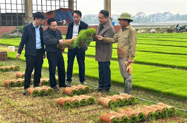 HỒNG CHÂU ĐẨY MẠNH PHONG TRÀO THI ĐUA XÂY DỰNG CON NGƯỜI MỚI