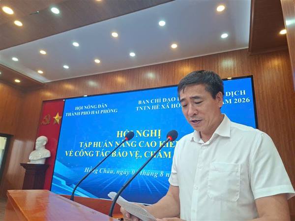 Hồng Châu tập huấn nâng cao kiến thức về công tác bảo vệ, chăm sóc trẻ em năm 2026