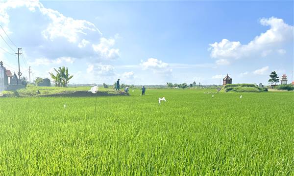 Kiểm tra công tác diệt chuột trên địa bàn xã Hợp Tiến 