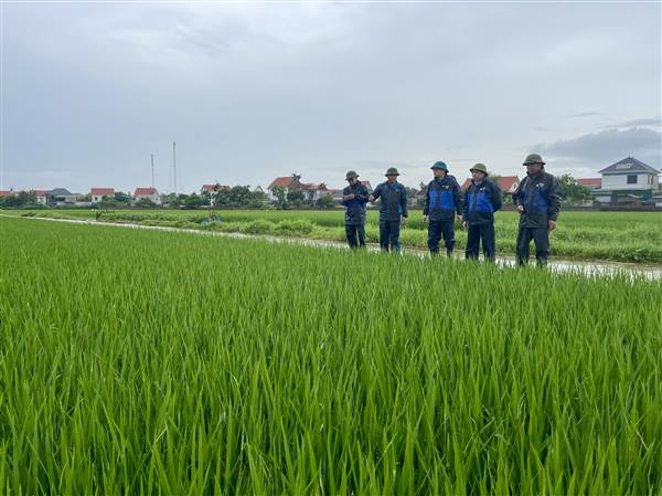 Lãnh đạo xã Hợp Tiến kiểm tra tình hình tiêu thoát nước nội đồng sau mưa lớn do ảnh hưởng bão số 5