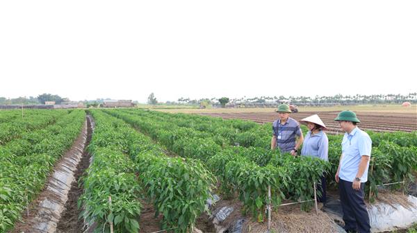 Lãnh đạo xã Hợp Tiến kiểm tra, thăm đồng, nắm bắt tình hình sản xuất nông nghiệp