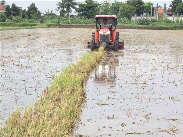 XÃ HỢP TIẾN TÍCH CỰC TRIỂN KHAI CÔNG TÁC LÀM ĐẤT PHỤC VỤ SẢN XUẤT VỤ MÙA NĂM 2026