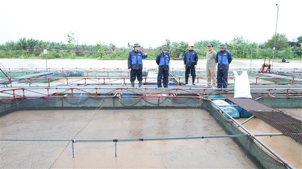 Lãnh đạo xã Hợp Tiến kiểm tra, chỉ đạo công tác phòng, chống bão số 4 
