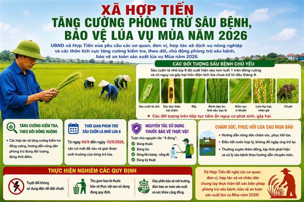 Xã Hợp Tiến tăng cường phòng trừ sâu bệnh, bảo vệ lúa vụ Mùa năm 2026 