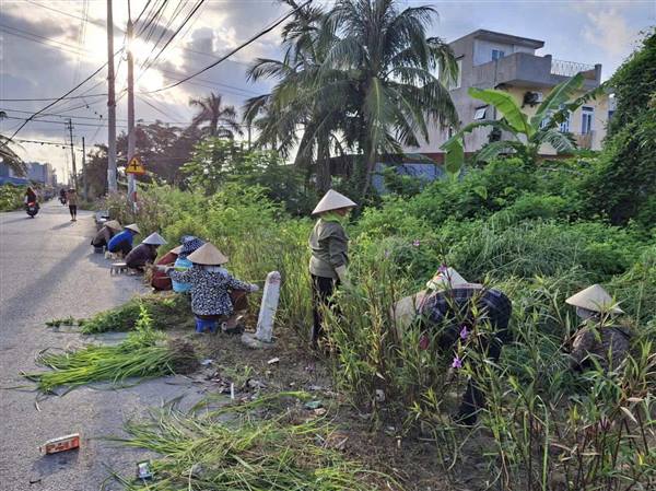 HỘI NÔNG DÂN PHƯỜNG HƯNG ĐẠO SÔI NỔI RA QUÂN TỔNG DỌN VỆ SINH MÔI TRƯỜNG CHÀO MỪNG 80 NĂM CÁCH MẠNG THÁNG TÁM VÀ QUỐC KHÁNH 2/9