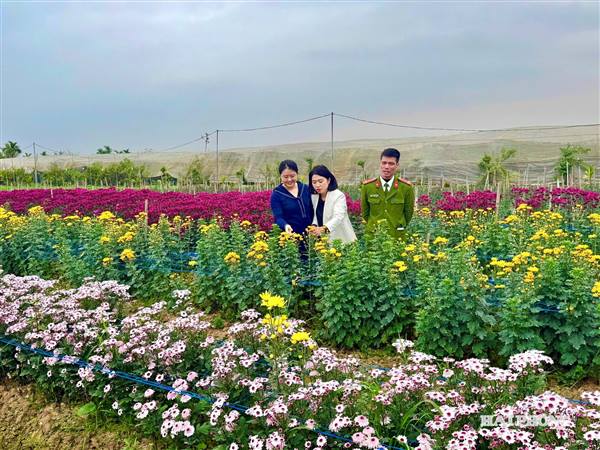 Hội Nông dân phường Hưng Đạo giúp hội viên làm kinh tế