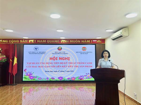 Hội Nông dân phường phối hợp Hội làm vườn thành phố, Liên hiệp các hội KHKT thành phố tổ chức tập huấn ứng dụng tiến bộ kỹ thuật thâm canh cây rau màu gắn với liên kết tiêu thụ sản phẩm.