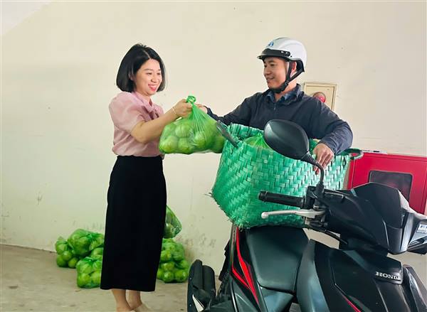 CHUNG TAY HỖ TRỢ TIÊU THỤ NÔNG SẢN – HƠN 500KG ỔI LÊ ĐÃ ĐẾN TAY NGƯỜI TIÊU DÙNG! 