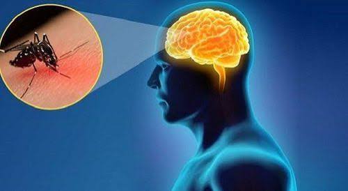 PHÒNG BỆNH VIÊM NÃO VIRUS VÀ VIÊM NÃO NHẬT BẢN 
