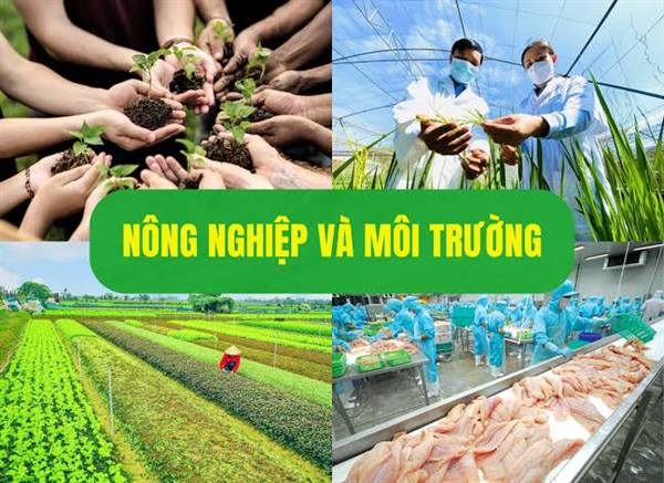 Quyết định về việc công bố danh mục thủ tục hành chính mới ban hành, bị bãi bỏ thuộc phạm vi chức năng của Sở Nông nghiệp và Môi trường
