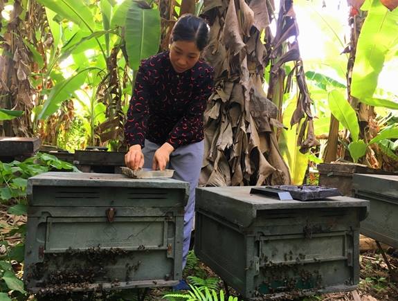 Hùng Thắng: Hướng đi mới từ lợi thế tự nhiên để phát triển kinh tế nông nghiệp bền vững