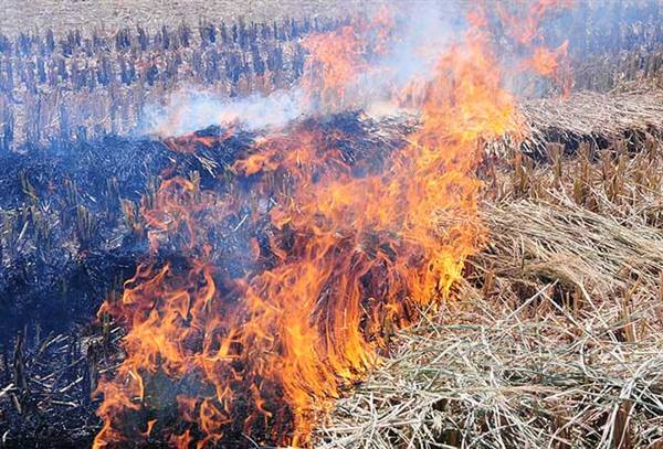 Từ thói quen đến ý thức: Xây dựng nếp sống văn minh sau mùa gặt