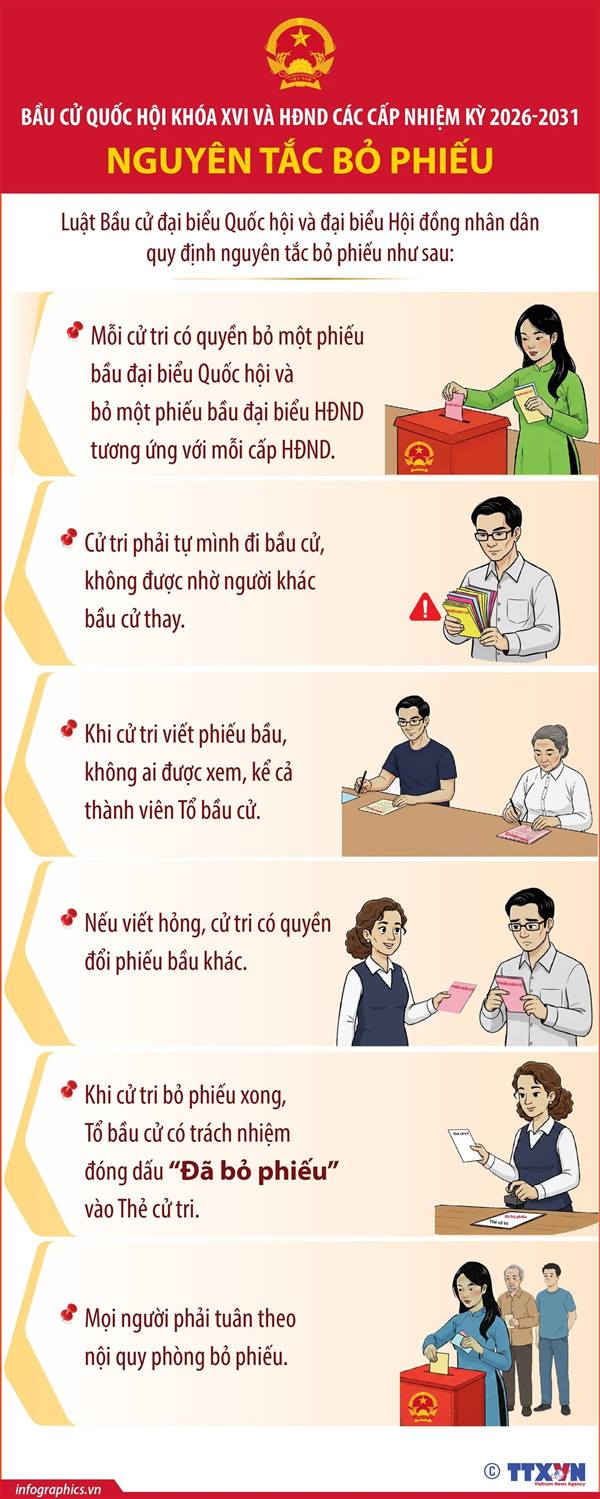 Nguyên tắc bỏ phiếu bầu đại biểu Quốc hội và đại biểu HĐND các cấp