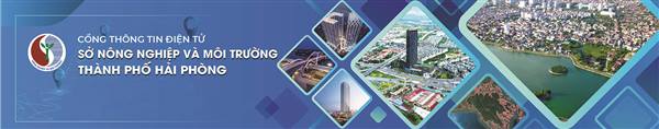 Thủ tục hành chính thuộc lĩnh vực Nông nghiệp và Môi trường