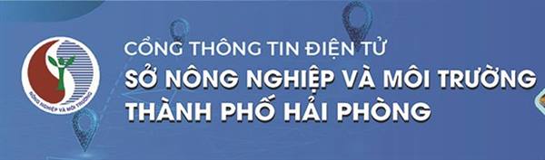 THÔNG BÁO số 118/TB-UBND ngày 23/10/2025 của UBND xã Kẻ Sặt Về việc công khai Quyết định số 4071/QĐ-UBND ngày 14/10/2025 của Ủy ban nhân dân thành phố 