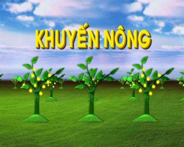 Hướng dẫn các biện pháp phòng chống nắng nóng cho thuỷ sản nuôi năm 2026