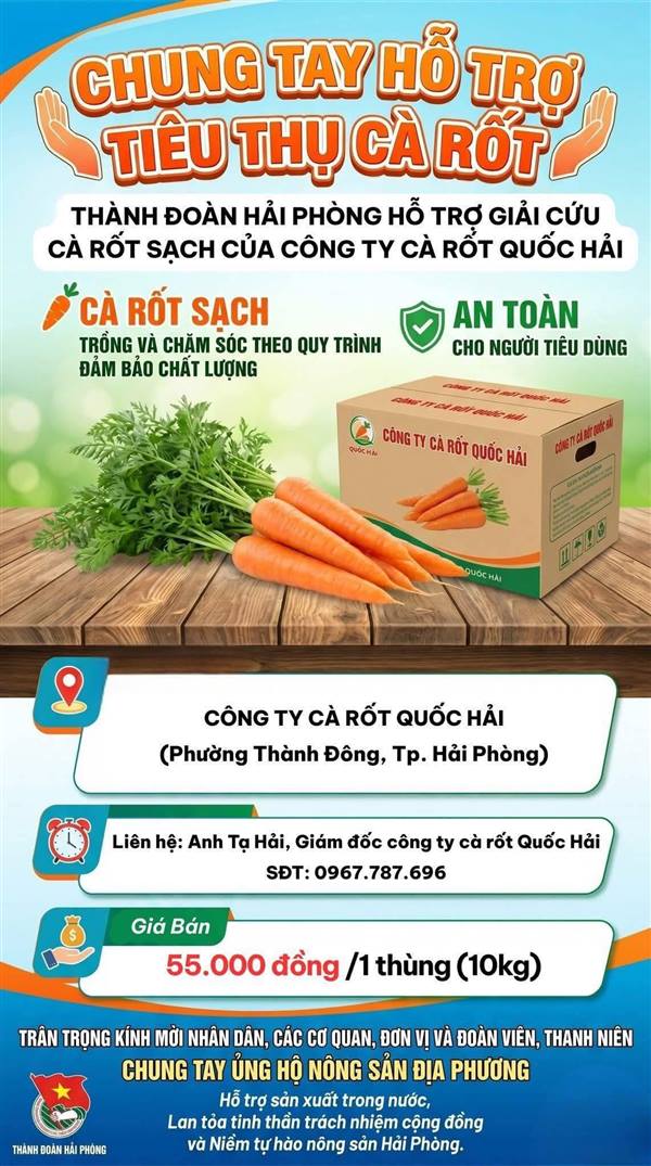 CHUNG TAY HỖ TRỢ TIÊU THỤ CÀ RỐT – LAN TỎA NÔNG SẢN SẠCH HẢI PHÒNG