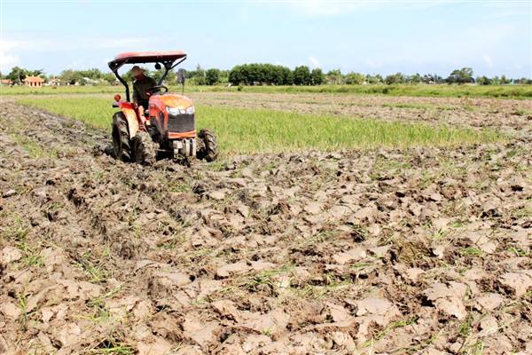 XÃ KHÚC THỪA DỤ TRIỂN KHAI KẾ HOẠCH SẢN XUẤT VỤ ĐÔNG XUÂN 2026