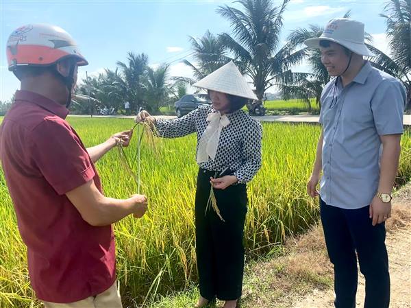 Đồng chí Bí thư Đảng ủy xã Khúc Thừa Dụ kiểm tra sản xuất nông nghiệp tại thôn Đông Cao