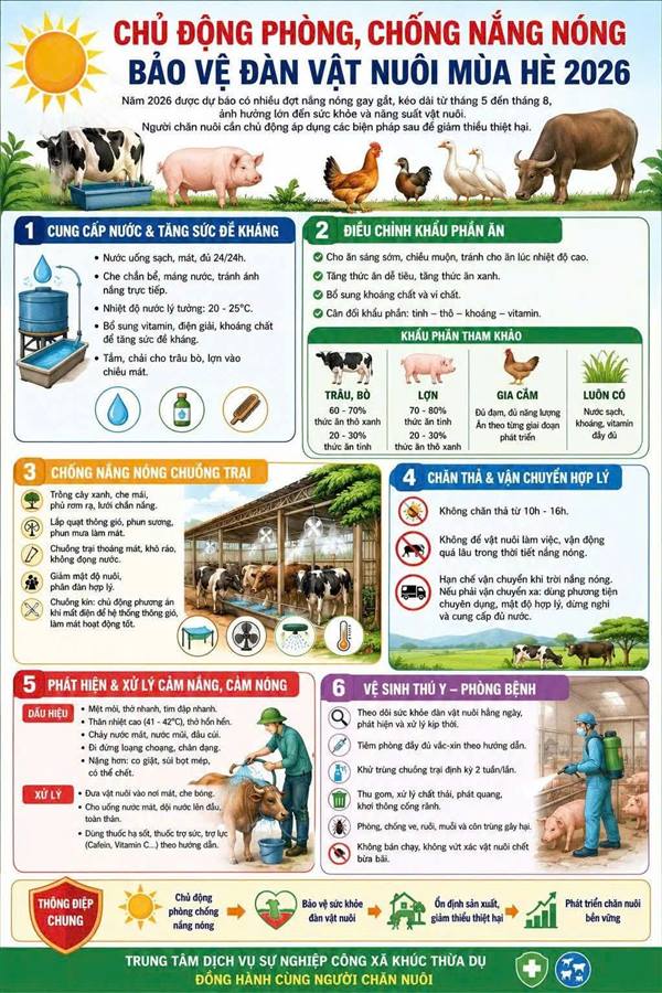 CHỦ ĐỘNG PHÒNG, CHỐNG NẮNG NÓNG – BẢO VỆ ĐÀN VẬT NUÔI