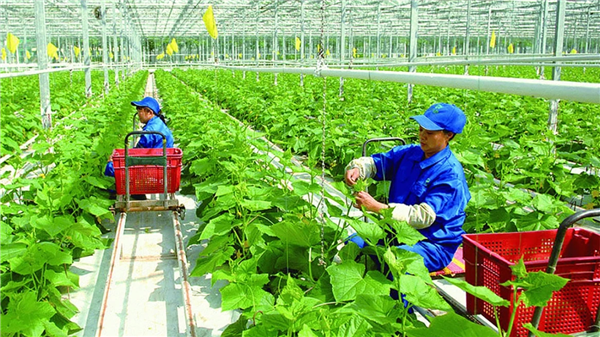 Điều kiện để doanh nghiệp được hỗ trợ kinh doanh bền vững

