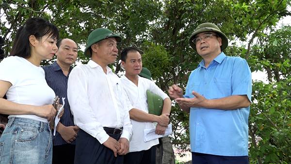 Đồng chí&nbsp;Nguyễn Minh Hùng - Uỷ viên Thành uỷ, Phó Chủ tịch UBND thành phố&nbsp;kiểm tra công tác phòng chống cơn bão số 3 tại phường Kiến An