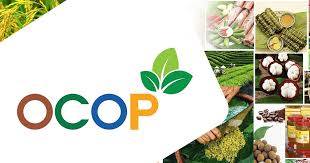 Công văn V/v tiếp tục triển khai Chương trình mỗi xã một sản phẩm (OCOP) theo Quyết định số 1489/QĐ-TTg ngày 06/7/2025 của Thủ tướng Chính phủ