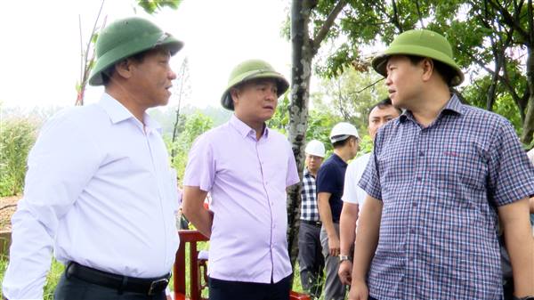 Đồng chí Hoàng Minh Cường - Uỷ viên Thành uỷ, Phó Chủ tịch UBND thành phố kiểm tra công tác phòng chống cơn bão số 9 (Ragasa) tại phường Kiến An

