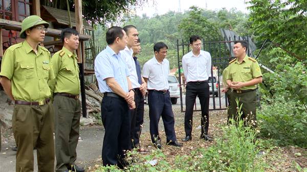 Sở Nông nghiệp và Môi trường thành phố làm việc, kiểm tra thực tế việc thu gom, dọn dẹp diện tích rừng gãy đổ do bão Yagi năm 2024 và xác định diện tích đất lâm nghiệp để xây dựng Kế hoạch trồng rừng thay thế năm 2026 trên địa bàn phường Kiến An