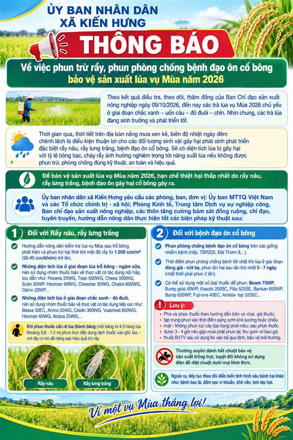 🌾📢 KIẾN HƯNG TUYÊN TRUYỀN NÔNG DÂN  PHUN TRỪ RẦY, BỆNH ĐẠO ÔN CỔ BÔNG BẢO VỆ LÚA VỤ MÙA 2026