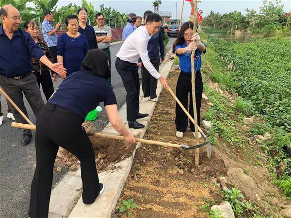 ỦY BAN MTTQ VIỆT NAM XÃ KIẾN HƯNG RA QUÂN TRỒNG TUYẾN ĐƯỜNG HOA BAN – LAN TỎA PHONG TRÀO “TẾT TRỒNG CÂY”