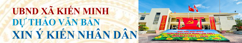 image advertisement