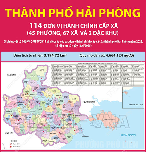 image advertisement