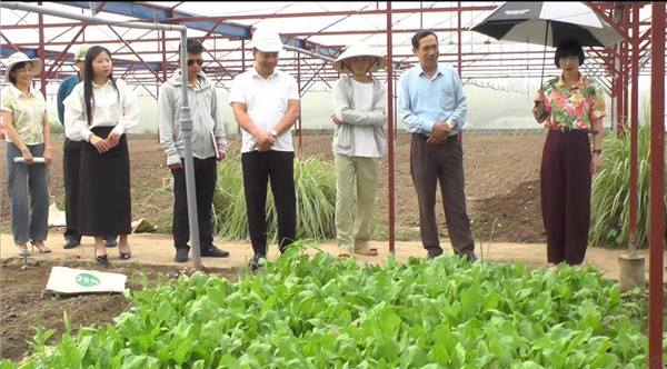 THƯỜNG TRỰC HĐND XÃ KIẾN MINH KHẢO SÁT MỘT SỐ MÔ HÌNH SẢN XUẤT NÔNG NGHIỆP TRÊN ĐỊA BÀN