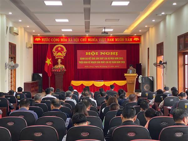 Xã Kiến Thụy: Tổ chức Hội nghị đánh giá kết quả sản xuất lúa vụ mùa năm 2025,

triển khai kế hoạch sản xuất lúa vụ xuân năm 2026