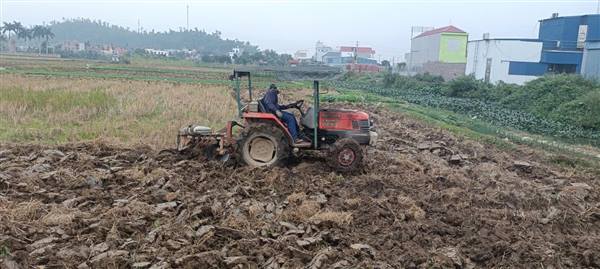 XÃ KIẾN THỤY ĐẨY NHANH TIẾN ĐỘ LẬT ĐẤT GIEO CẤY VỤ XUÂN 2026