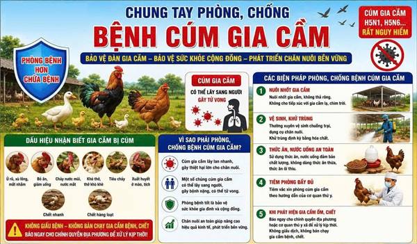 Xã Kiến Thụy hướng dẫn phòng, chống bệnh cúm gia cầm