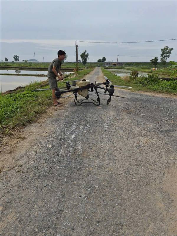 HỘI NÔNG DÂN XÃ KIẾN THỤY MỞ RỘNG MÔ HÌNH SẢN XUẤT LÚA GẠO HỮU CƠ – XÂY DỰNG THƯƠNG HIỆU "GẠO HỮU CƠ KIẾN THỤY"