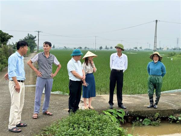 LÃNH ĐẠO XÃ KIẾN THỤY KIỂM TRA SẢN XUẤT NÔNG NGHIỆP,

KHẮC PHỤC ÚNG LỤT SAU BÃO