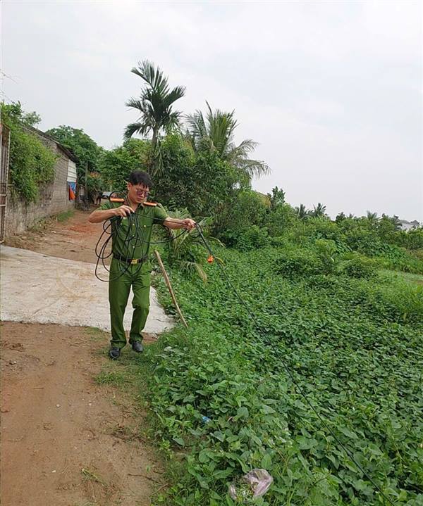 Xã Kim Thành tăng cường các biện pháp đánh bắt diệt chuột an toàn, đồng thời kiên quyết xử lý nghiêm các trường hợp sử dụng điện để bẫy, diệt chuột
