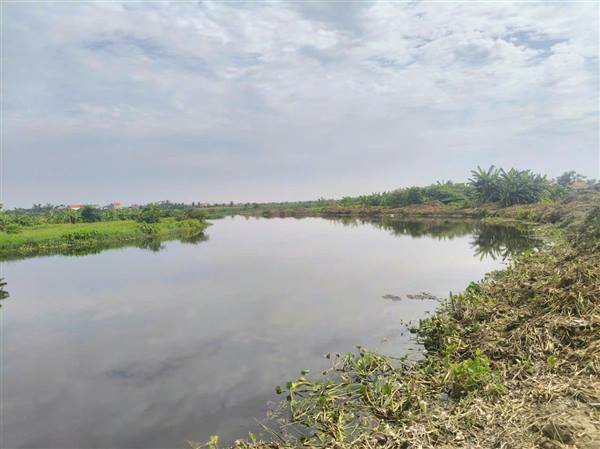 Xã Kim Thành chủ động khơi thông dòng chảy, nạo vét kênh mương chuẩn bị cho phương án chống úng ngập trước mùa mưa bão