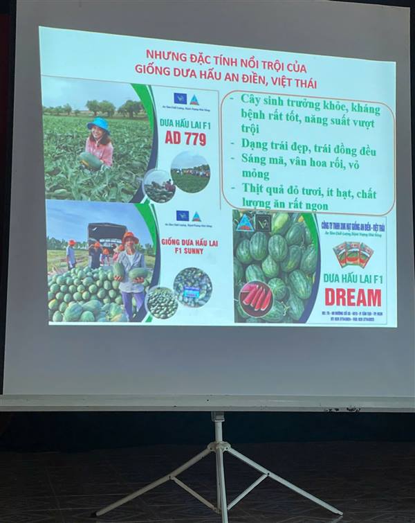 Đẩy mạnh chuyển giao kỹ thuật, nâng cao hiệu quả sản xuất rau màu an toàn cho nông dân