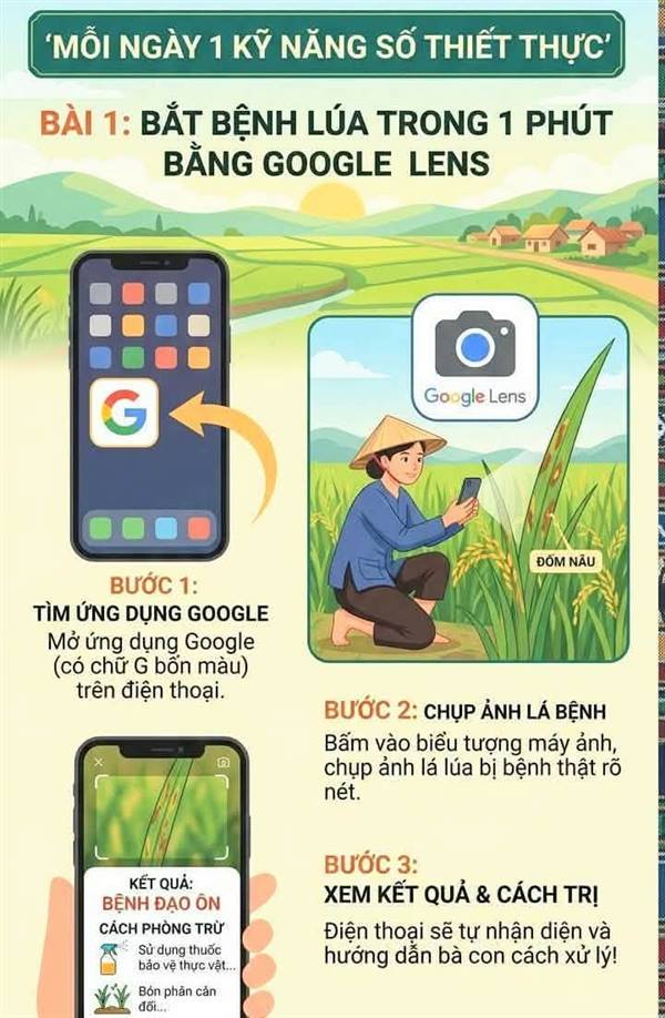 Dùng điện thoại để nhận biết sơ bộ bệnh trên lúa và cây trồng