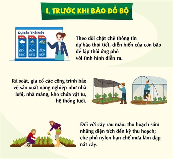 HƯỚNG DẪN PHÒNG, CHỐNG BÃO SỐ 4 NĂM 2026