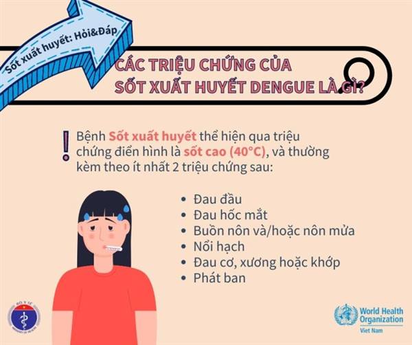 Chủ động phòng chống bệnh sốt xuất huyết