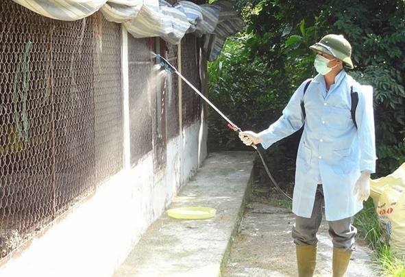 Triển khai Tháng tổng vệ sinh, khử trùng, tiêu độc môi trường phòng chống dịch bệnh động vật đợt 2 từ ngày 20/8/2025 đến ngày 20/9/2025.