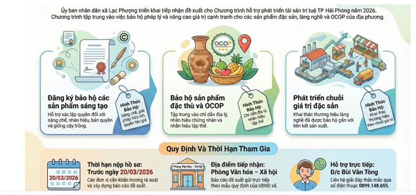 Ủy ban nhân dân xã tiếp nhận đề xuất nhiệm vụ tham gia Chương trình hỗ trợ phát triển tài sản trí tuệ thành phố Hải Phòng năm 2026